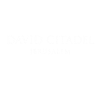 logo 8