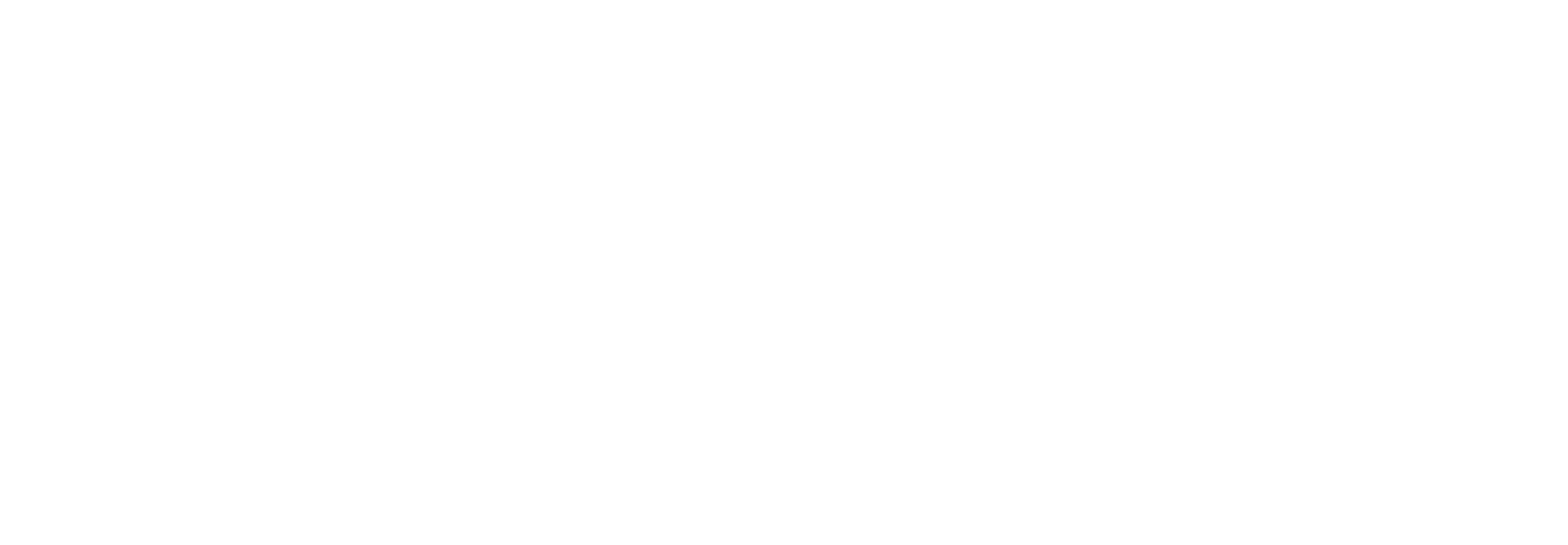 ELITA LOGO לוגו עבה חדש 2020